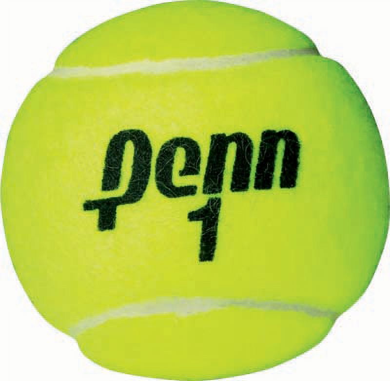 (2 pack) Penn Championship Extra Duty Tennis Balls (1 Can, 3 balls)