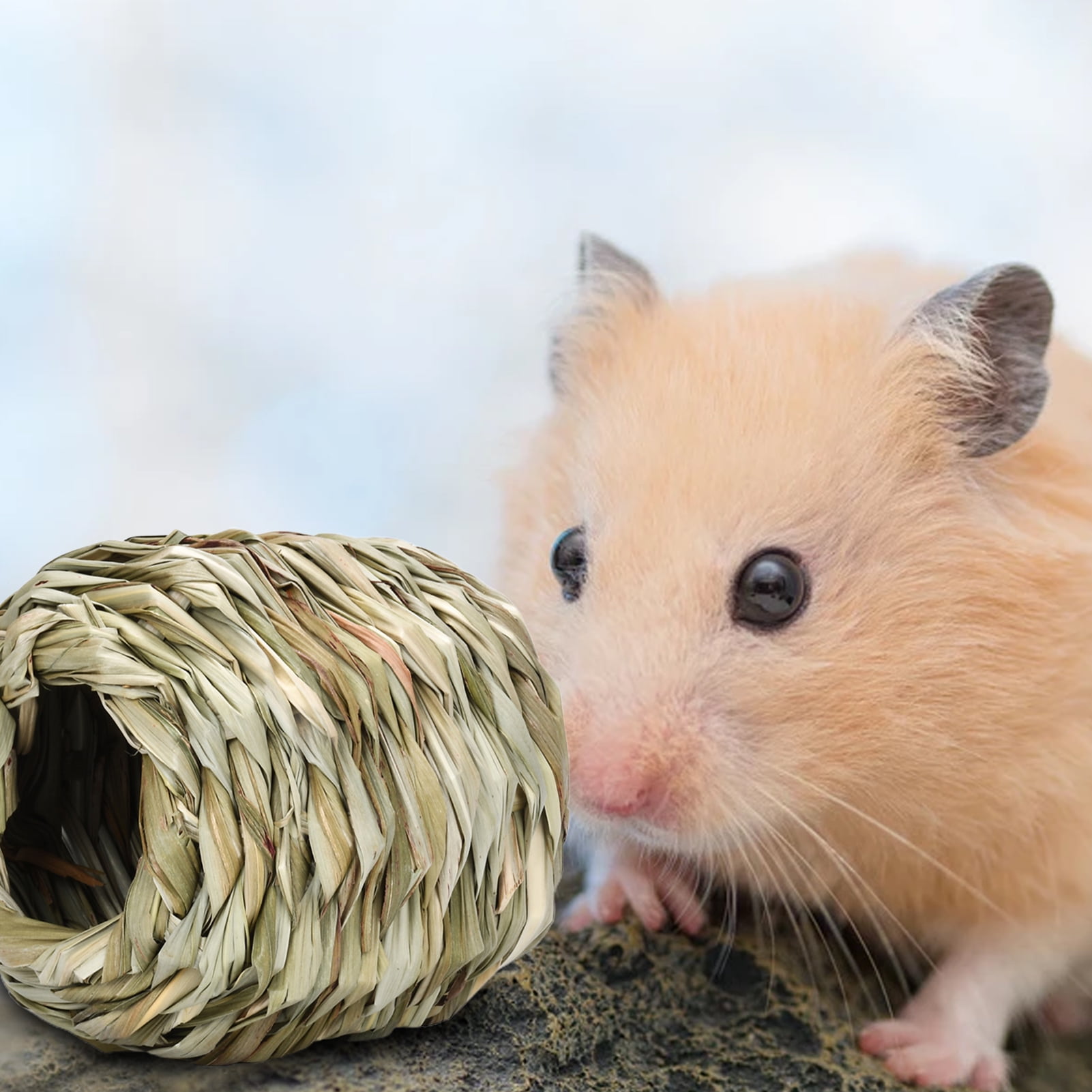 DOPI Hamster Nest Tunnel Shape Grinding Teeth Grass Woven Small Animal Bunny Hut Toy Pet Supplies