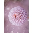 thumbnail image 2 of Love Grams 15x18 White Modern Wood Framed Museum Art Print Titled - Snowflakes and Cotton Candy, 2 of 4