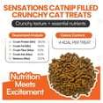 thumbnail image 6 of Cat by Scoochie Sensations Catnip Filled Crunchy Cat Treats, 1CT, 6 of 6