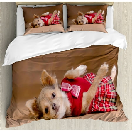 Chihuahua Duvet Cover Set, Photo of Puppy Wearing Kilt Lying on Its Back, Decorative Bedding Set with Pillow Shams, Pale Chocolate Vermilion Almond, by (Best King Of The Kill Settings)