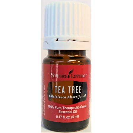 Young Living Tea Tree Essential Oil 5ml (Best Young Living Oils)