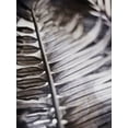 thumbnail image 2 of Robinson, Emily 15x18 Black Ornate Wood Framed with Double Matting Museum Art Print Titled - Silvery Frond I, 2 of 4