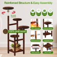 thumbnail image 6 of BueDeHai 5 Tiered Round Plant Stand Indoor with 5PCS Saucer and Gardening Tool, Wood Flower Stand Shelf Outdoor for Multiple Plants, 6 of 7