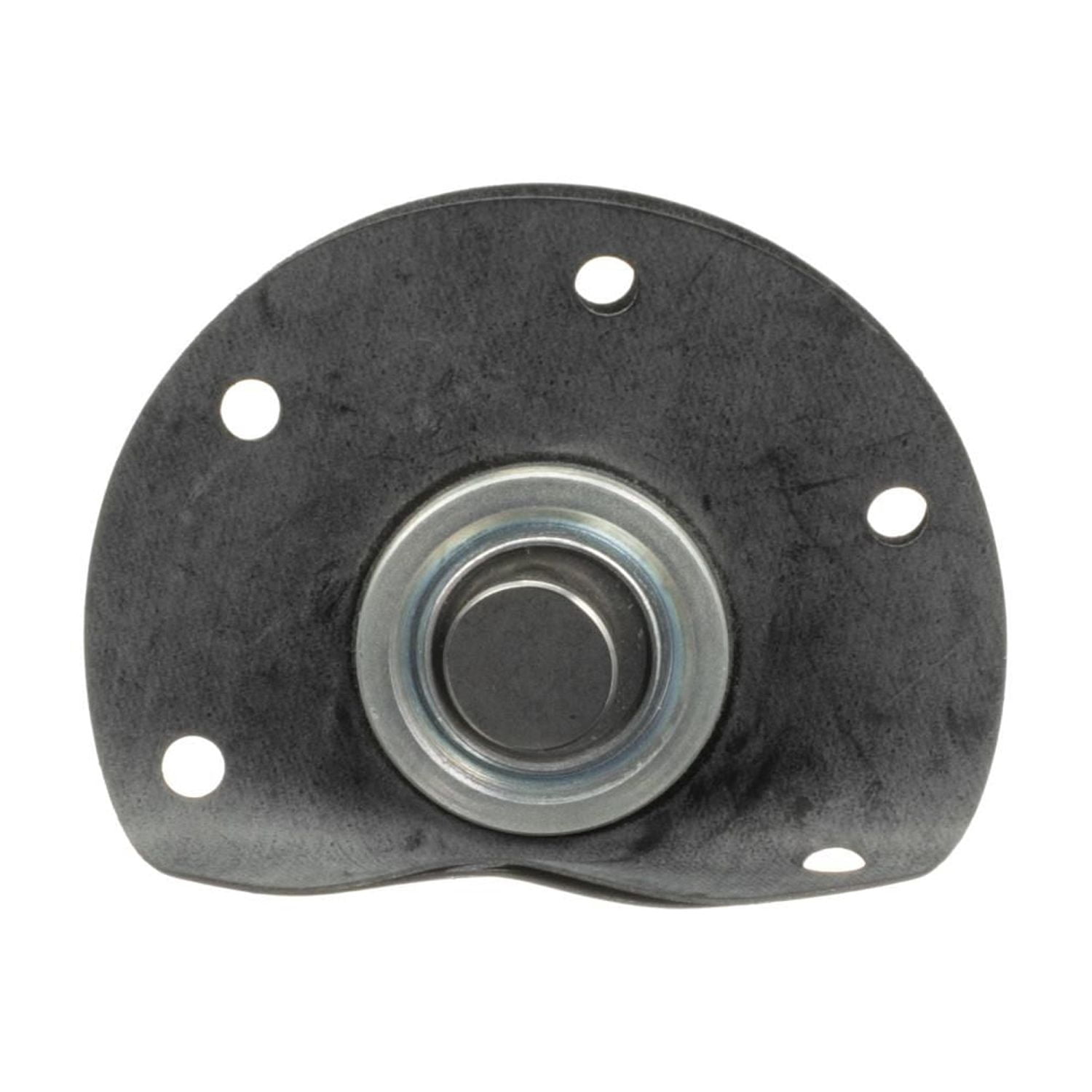 Fuel Injection Pressure Regulator