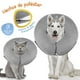 thumbnail image 4 of Mascretta Collar Isabelino para Perro o Gato. Dona Isabelina Mascotas. Dona de Recuperación Mascretta  Collar Isabelino, 4 of 7