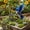 Multicolor364, variant on Tuvgenk Yellow Winged Sprite Ground Stake Acrylic Outdoor Ornament Fade Resistant Waterproof Decor Easy Placement For Yard Patio Backyard Festive Scene Layout