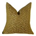 thumbnail image 1 of Plutus Duncan Gamme Fait à la Main Coussin, (Double Face 20" x 20"), 1 of 2