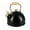 Matte Black(2.5 Quarts), variant on 2 Quart Stainless Steel Whistling Tea Kettle  The Stovetop And Water Boilers For Your Dorm Condo Or Apartment. (blue)