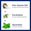 thumbnail image 3 of Desodorante Zion Health Claydry - Carbón Menta 2.8 oz Stick(S), 3 of 5