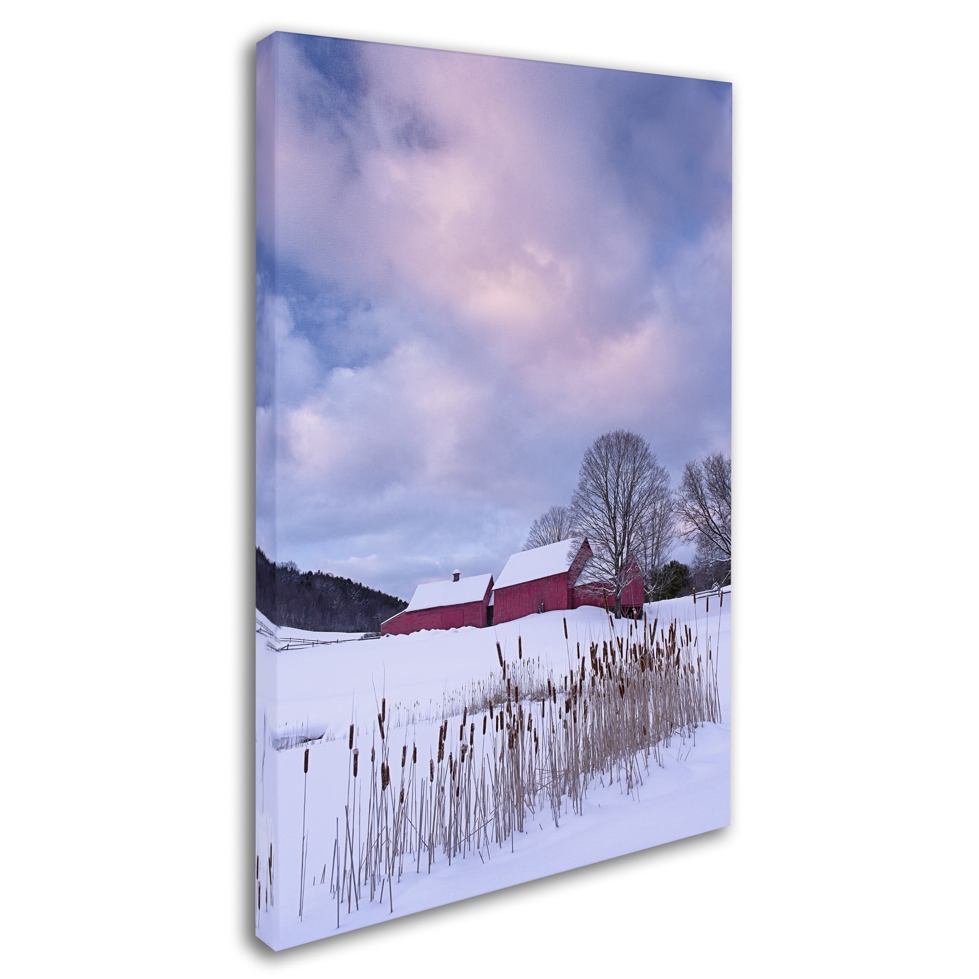 Trademark Fine Art "Cat O'Nine In Snow" Canvas Art by Michael Blanchette Photography