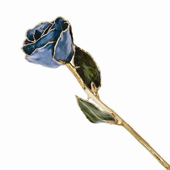 24k Gold Plated Trimmed Navy Pearl Rose
