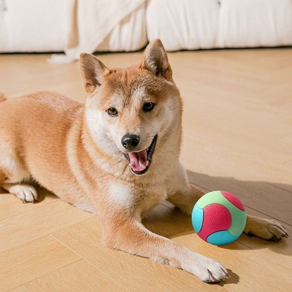 Liquidation et Promo, Jouets à Mâcher Durables, Balles à Mâcher Non Toxiques, Soulagement du Stress Interactif et Amusant pour Grands Chiens, Aides à l'Entraînement, Soins Molaires Silencieux, Fournitures pour Animaux Sécuritaires pour Chiens Akmoler Offres Exclusives