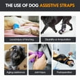 thumbnail image 4 of Duuclume Dog Lift Harness for Small Medium Large Dogs, Adjustable Back Legs Support Dog Harness(M), 4 of 5