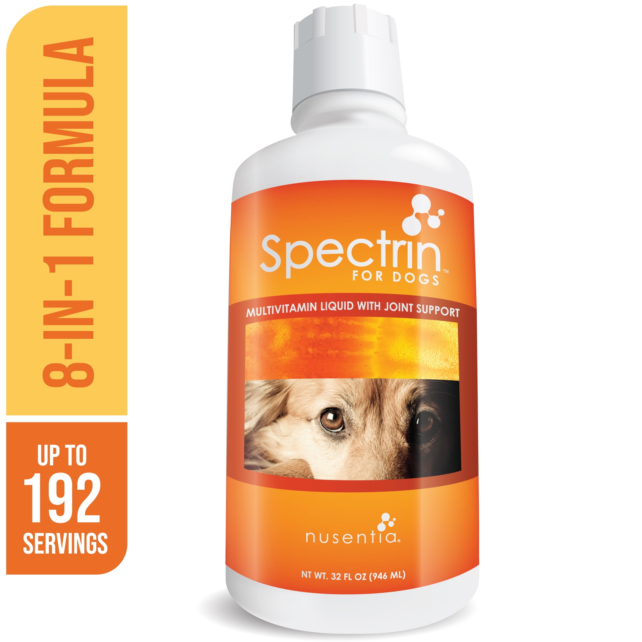 What Happens If A Dog Eats A Multivitamin