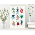 thumbnail image 3 of Garden Beetle Wall Art, Insect Print - Kids Room Decor, Bugs Art, Woodland Nursery - Gift for Classroom, School, Kids & Nursery Room, Woodland - (Unframed, 16 x 24 inches), 3 of 4