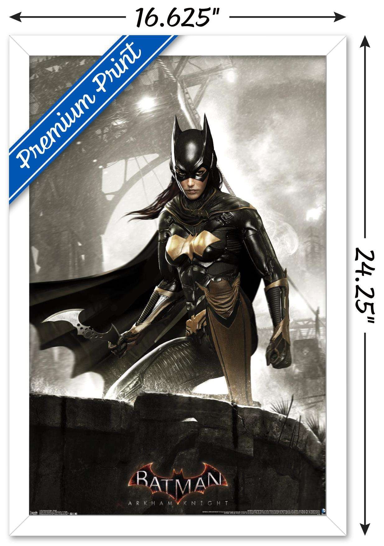 DC Comics Video Game - Arkham Knight - Batgirl Wall Poster, 14.725" x 22.375", Framed