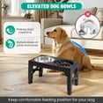 thumbnail image 5 of Elevated Dog Bowls - 5 Adjustable Heights Stand, 2 Stainless Steel Bowls & 1 Slow Feeder, for Small to Large Dogs, Black, 5 of 7
