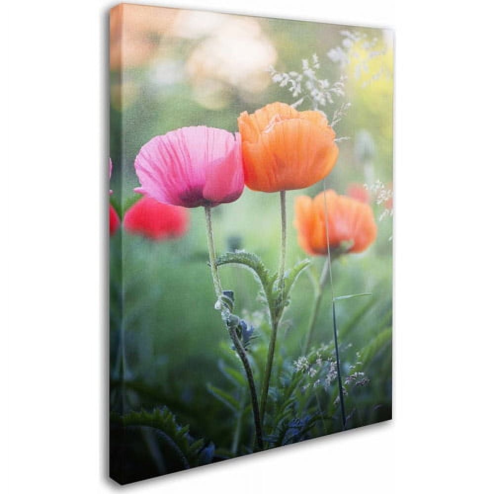 Trademark Fine Art 12' x 19' Hidden Wooden Frame Love Me Again