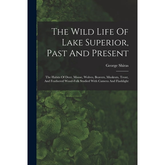 The Wild Life Of Lake Superior, Past And Present : The Habits Of Deer, Moose, Wolves, Beavers, Muskrats, Trout, And Feathered Wood-folk Studied With Camera And Flashlight (Paperback)