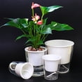 thumbnail image 3 of Plant Pot Widely Use Lightweight Novel Visible Self Watering Plant Pot, 3 of 4