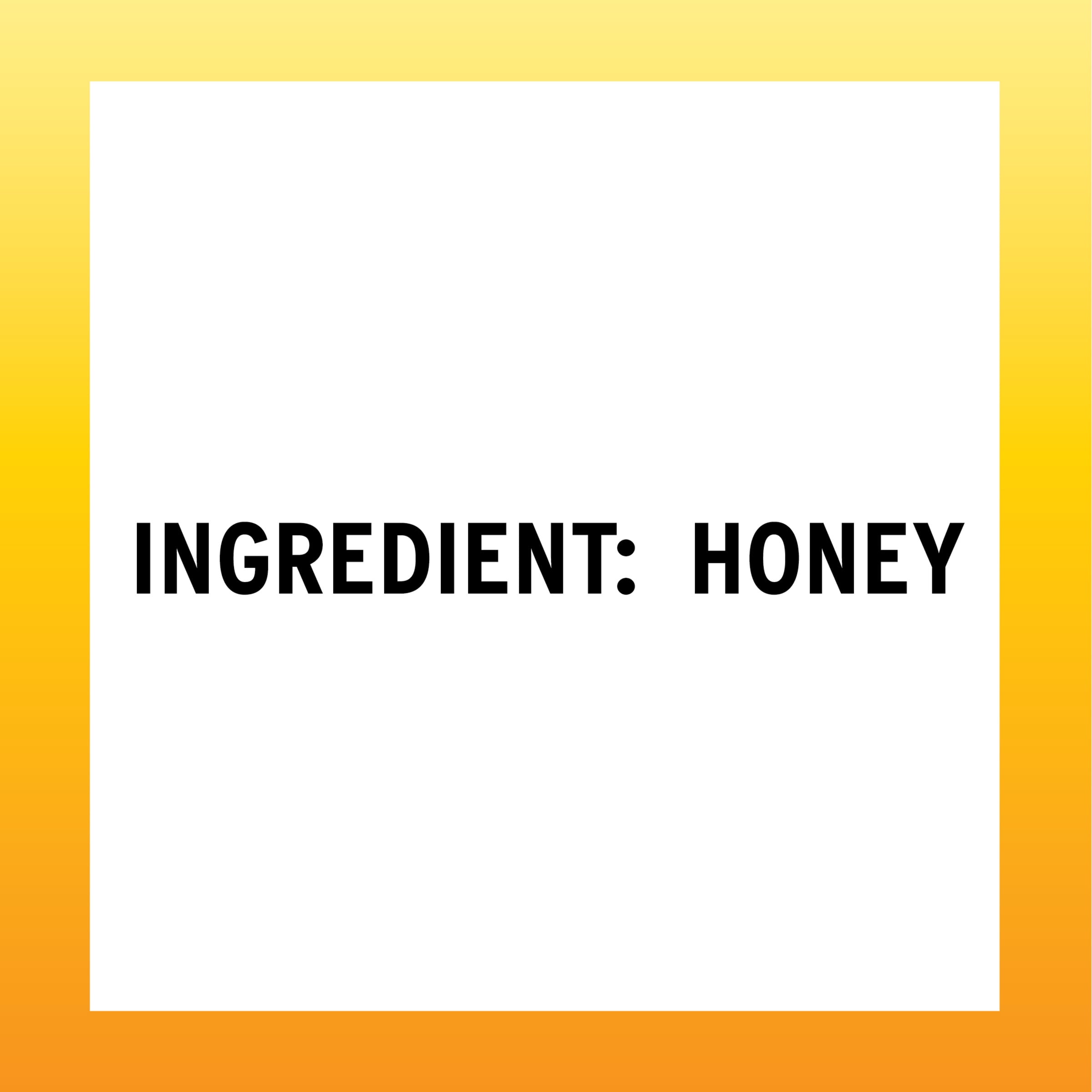 Sue Bee Honey, Premium Clover Honey, 24 oz