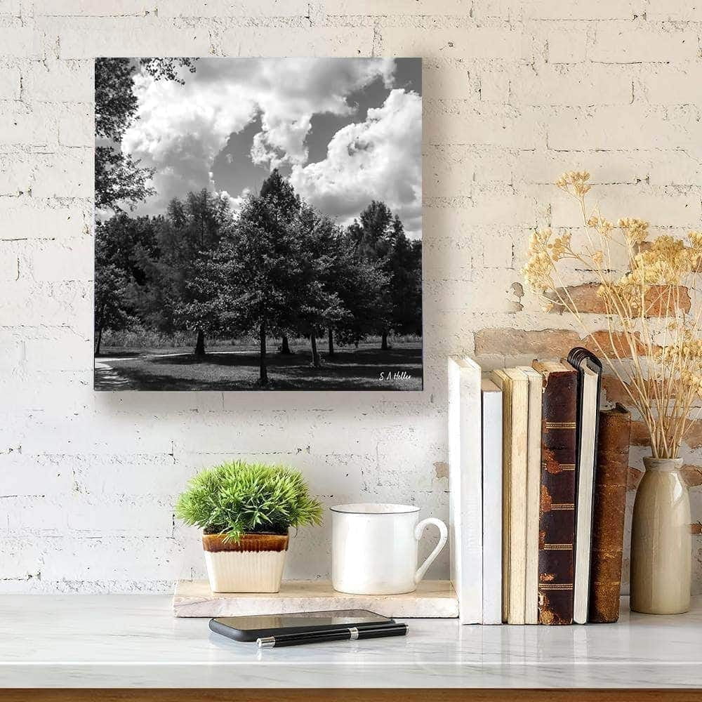 Kansas Clouds By Photographer Steven A. Heller - 16"X20" Canvas