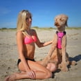 thumbnail image 3 of The Comfort Dog Harness With Mesh Padded Vest - Pink/Bl - Large Breeds, 3 of 8