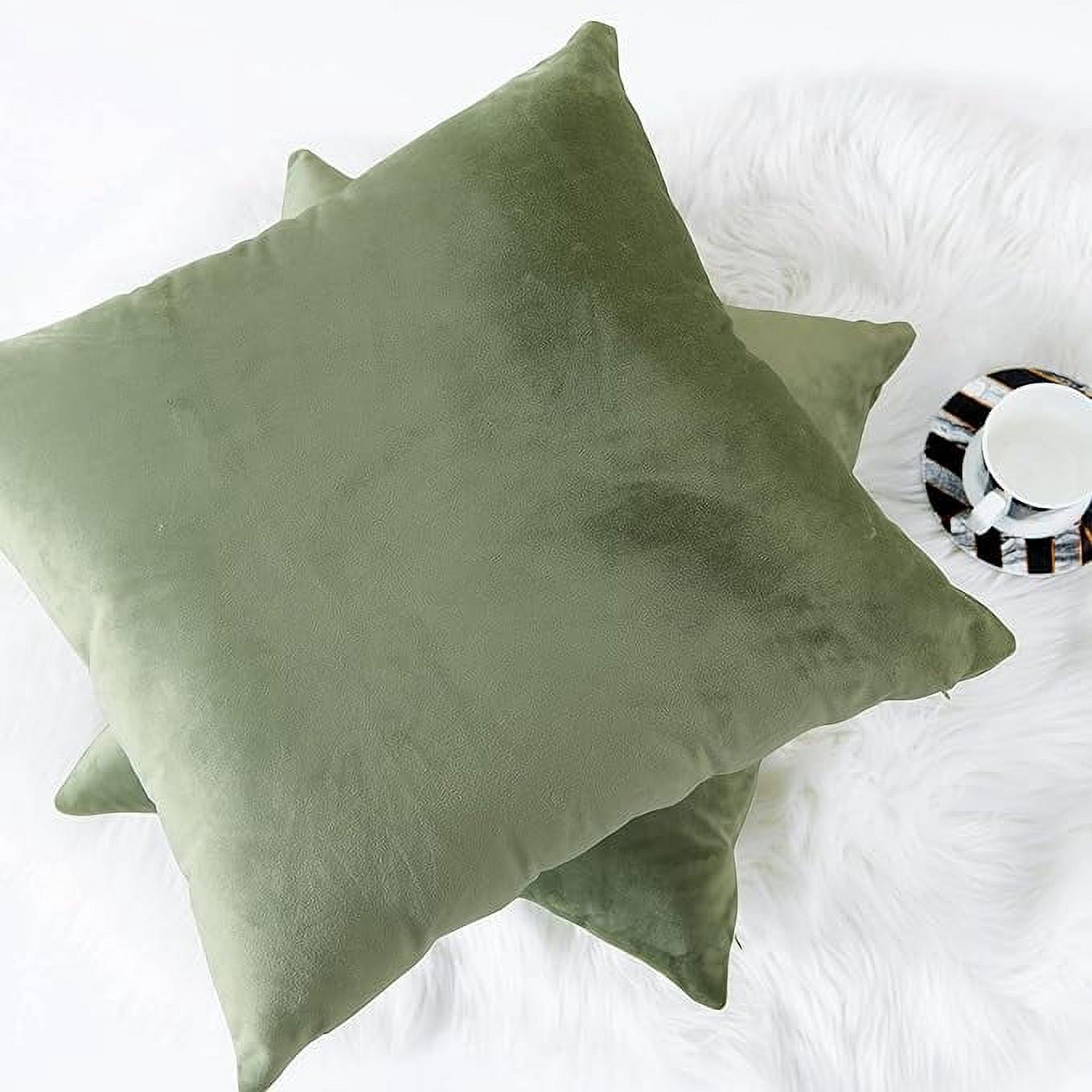Cterwk Set of 2 Soft Velvet Throw Pillow Cover with Zipper, Decorative Solid Square Cushion Cases for Bedroom Car Sofa Couch, 20 x 20inch