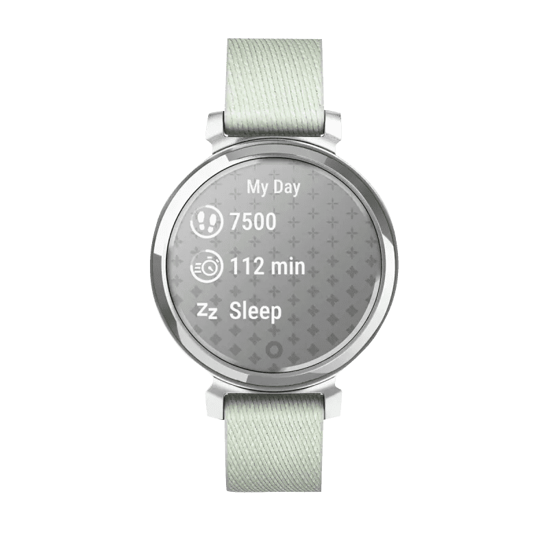 Garmin Lily 2 Classic, Silver with Sage Gray Nylon Band (Garmin Certified )