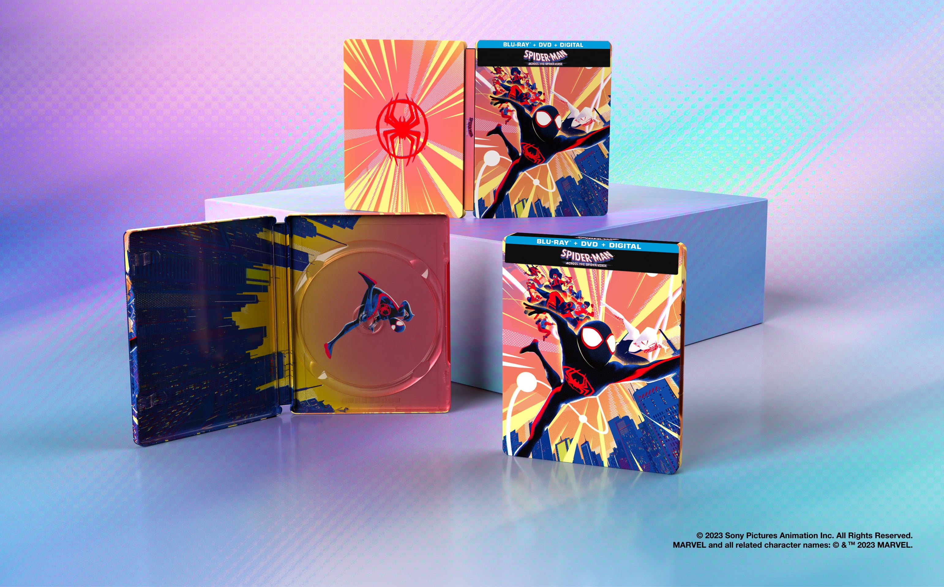 Spider-Man: Across The Spider-Verse - DVD + Digital