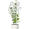 thumbnail image 5 of DIY Iron Mini On Top of Potted Plants Support Garden Trellises for Plant Vines, 5 of 6