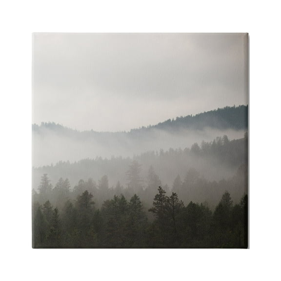 Stupell Industries Sun Rays Through Fog Over Woodland Mountain Hills Photograph Gallery Wrapped Canvas Print Wall Art, Design by Carol Robinson