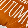 thumbnail image 3 of Way to Celebrate! Hello Autumn 2 Pack Decorative Pillows, 3 of 5