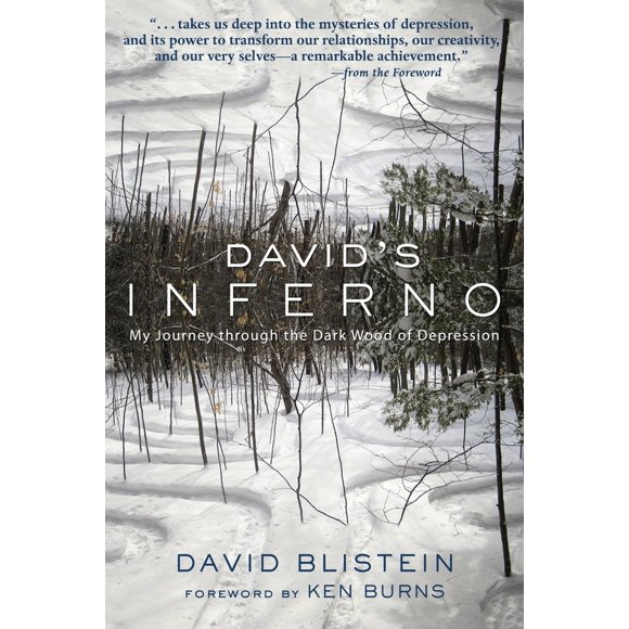 Pre-Owned David's Inferno: My Journey Through the Dark Wood of Depression (Paperback) 1578264294 9781578264292