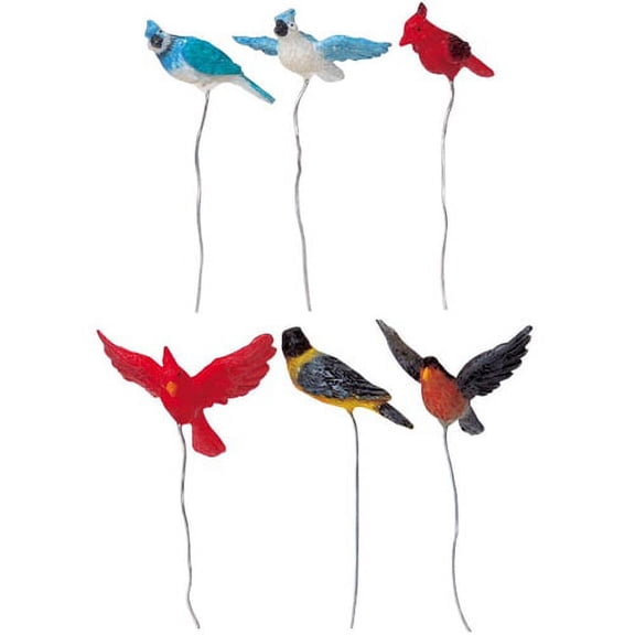 Assorted Birds