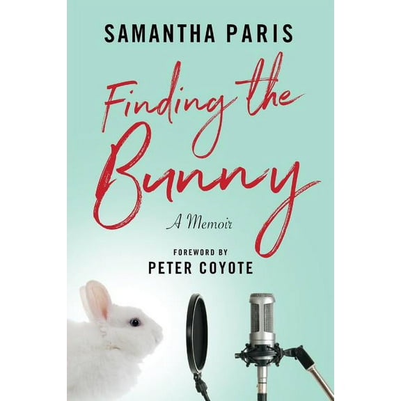 Finding the Bunny: The secrets of America's most influential and invisible art revealed through the struggles of on, (Paperback)