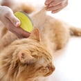 thumbnail image 5 of 3 In 1 Rechargeable Silica Gel Cats Steam Brush With 2 Brush Head Self Cleaning Steam Cats Brush For Massages Removing Tangled And Loosse Hair, 5 of 5
