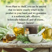 Nature's Answer - Chlorophyll Liquid - 1 Each-16 FZ