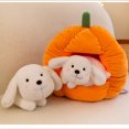 thumbnail image 4 of 2PCS Halloween Pumpkin Dog Stuffed Animal, 9.84 in Pumpkin House And Dog Plush Toys Set, Halloween Indoor Decoration for Sofa Bedroom, Trick Or Treat Halloween Party Gift (White), 4 of 7