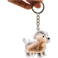 thumbnail image 5 of 2 Pcs Dog Hair Collector Keychain Charm Memorial Storage Box, Dogs Fur Pendant, Pet Hair Memorial Keepsake, Portable Pet Memory Capsule, Birhthday Gift for Pet Lovers, 5 of 5