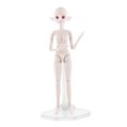 thumbnail image 3 of UPGRATOR Figure Clear Display Stands Doll Stand Rack Wide Base Plastic Adjustable Support 12 Pcs, 3 of 5