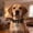 Style A, variant on Adjustable Dog Collars with Bow, Soft Faux Leather Puppy Collar for Small Medium Dogs, Quick Release Dog Accessory for Training or Party, A/B (Multiple Sizes)