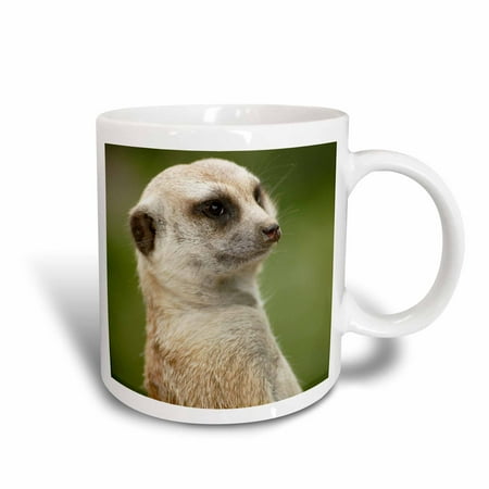 3dRose Slender-tailed Meerkat, San Diego Zoo, California - US05 MPR0039 - Maresa Pryor, Ceramic Mug, 11-ounce