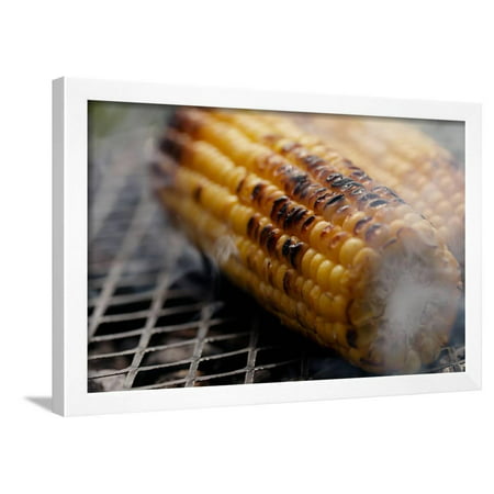 Roasted Sweet Corns on the Bbq Grill Framed Print Wall Art By (Best Way To Roast Corn On The Grill)