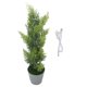 thumbnail image 2 of Decorációe de árbol cipress encendida iluminada usb led mini de la mesa led de luz, 2 of 7