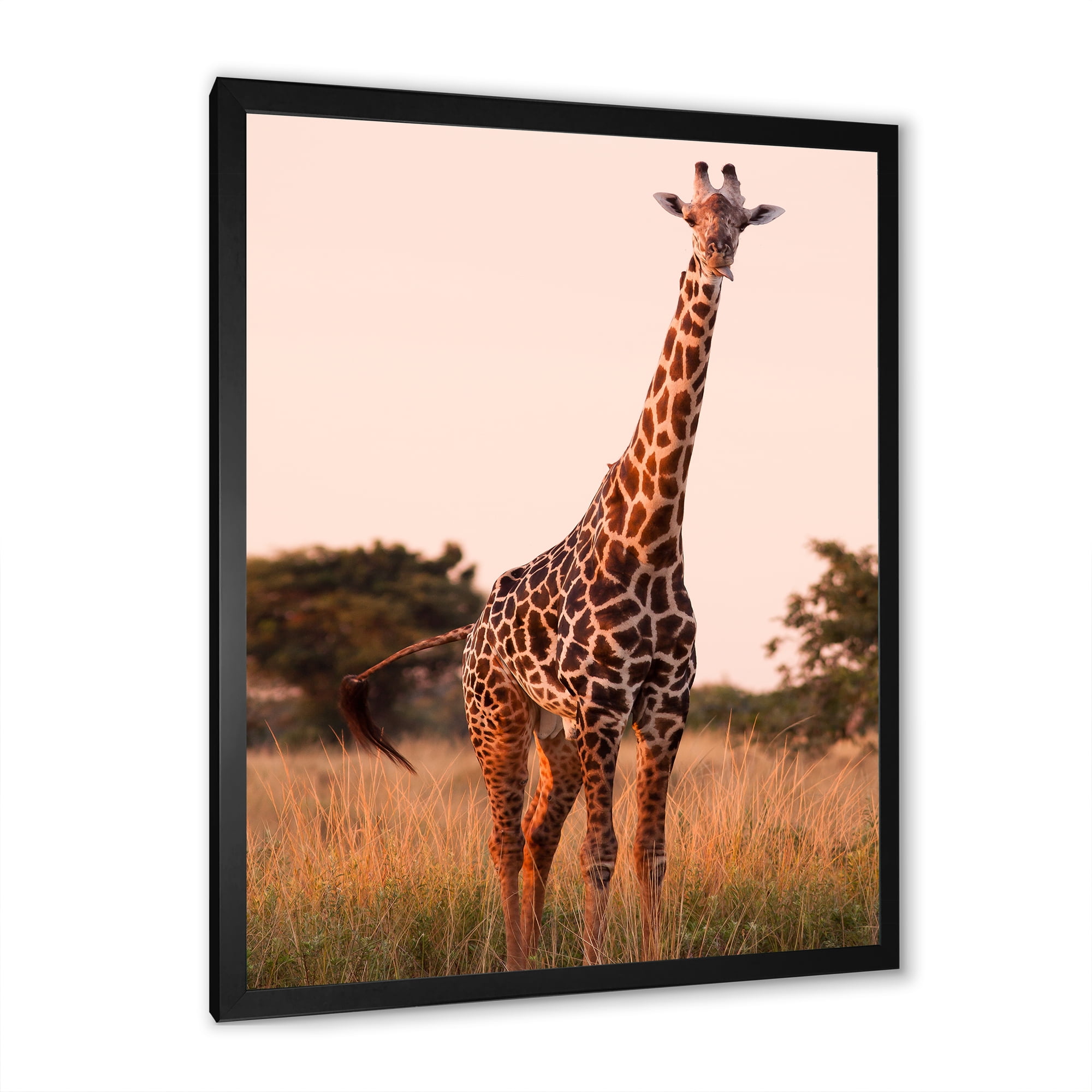 Designart 'African Giraffe In The Wildlife I' Farmhouse Framed Art Print