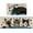 Cat, variant on Welcome Dog Paw Print Kitchen Rugs Set of 2, Wipe Your Paws Bone Kitchen Mats Decor Pet Lover Gifts, Black Floor Door Mat Home Decorations - 17x30 and 17x47 Inch