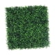 thumbnail image 2 of Paneles de fondo de vegetación de pared de césped de plantas artificiales Paredes de plantas artificiales 25cmx25cm, 2 of 9