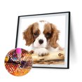 thumbnail image 2 of Cuadros Decorativos Kits de pintura de diamante 5D DIY Cuadro de mosaico de perro de taladro redondo Tmvgtek embutido en tela, 2 of 9